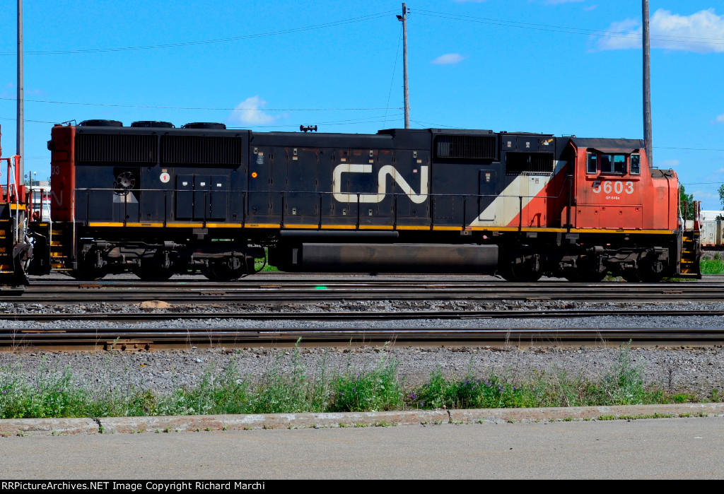 CN 5603